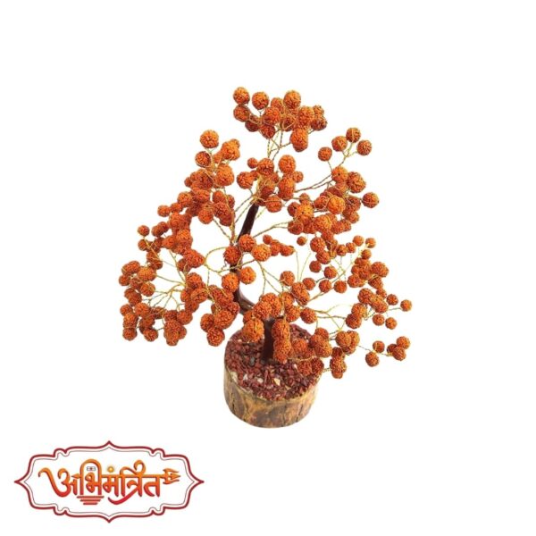 rudraksh tree abhimantrit-min