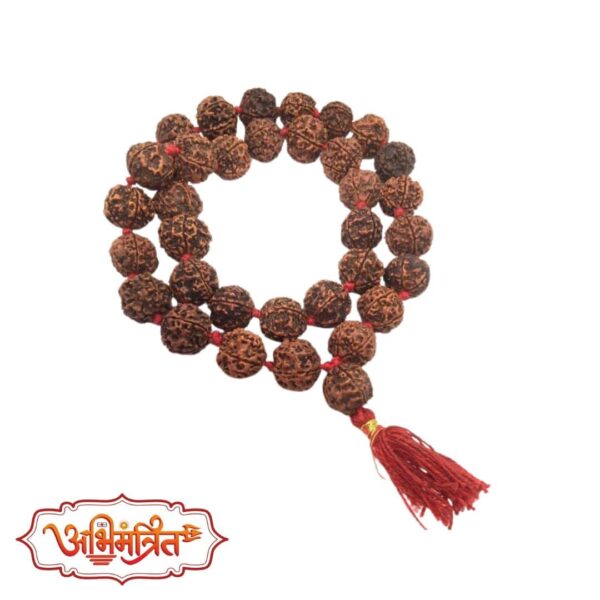 5 mukhi rudraksh mala