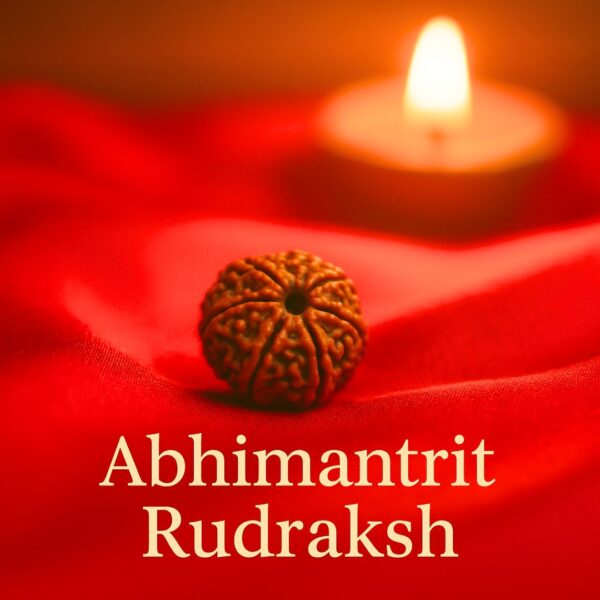 Abhimantrit Rudraksh