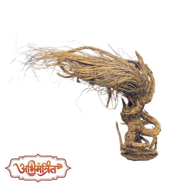 Abhimantrit Mohini Jad – Rare Energized Root for Attraction and Love