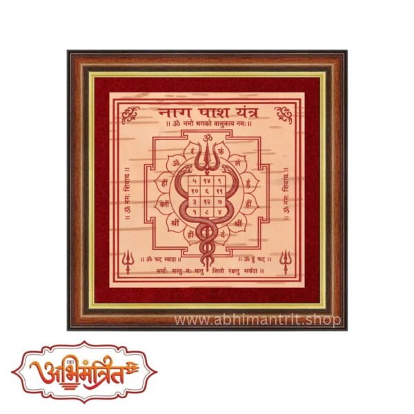 naag pash yantra abhimantrit